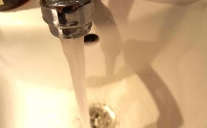 Fot. Karina Płaszczyca