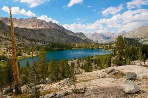 Fot. materiały prasowe WCK