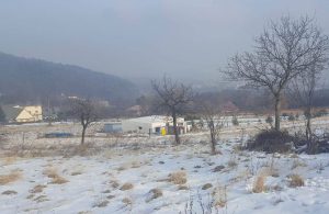 Fot. Karina Płaszczyca