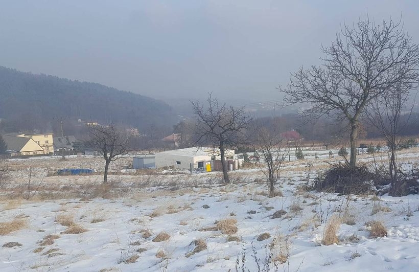 Fot. Karina Płaszczyca