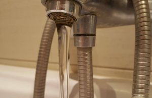 Fot. Karina Płaszczyca