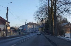 Fot. Ilustracja/ Karina Płaszczyca