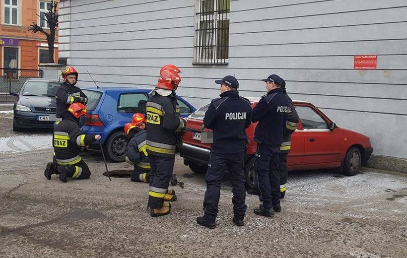 Fot. Karina Płaszczyca