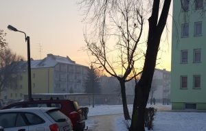 Fot. Karina Płaszczyca