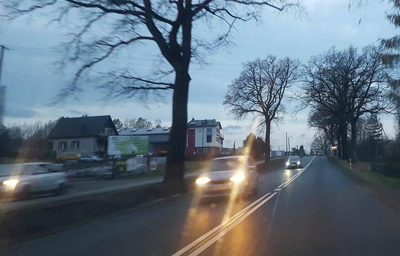 Fot. Ilustracja/ Karina Płaszczyca