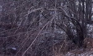 Fot. Ilustracja/ Karina Płaszczyca