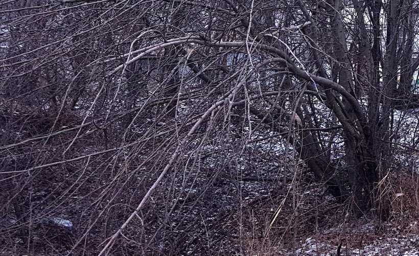 Fot. Ilustracja/ Karina Płaszczyca