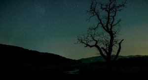 Fot. Tokksa/materiały filmowe