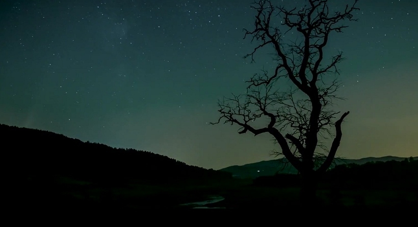 Fot. Tokksa/materiały filmowe