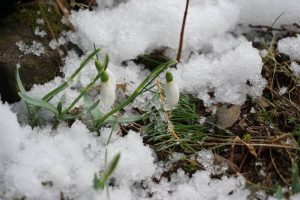 Fot. Archiwum/Ilustracja