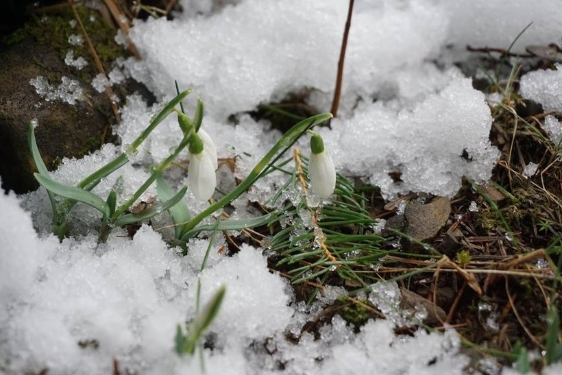 Fot. Archiwum/Ilustracja