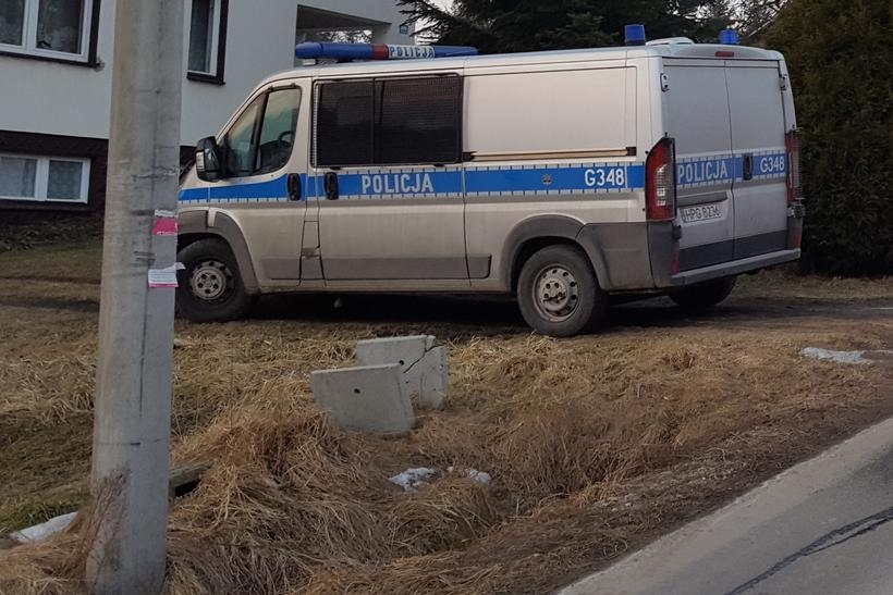 Fot. Ilustracja/ Karina Płaszczyca