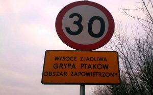 Fot. joomla.wadowice24.promo-peak.ovh