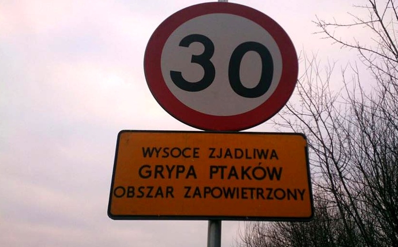 Fot. joomla.wadowice24.promo-peak.ovh