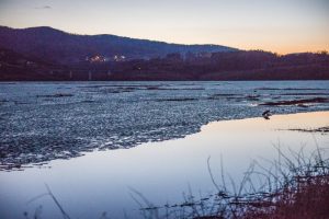 Fot. Marcin Płaszczyca