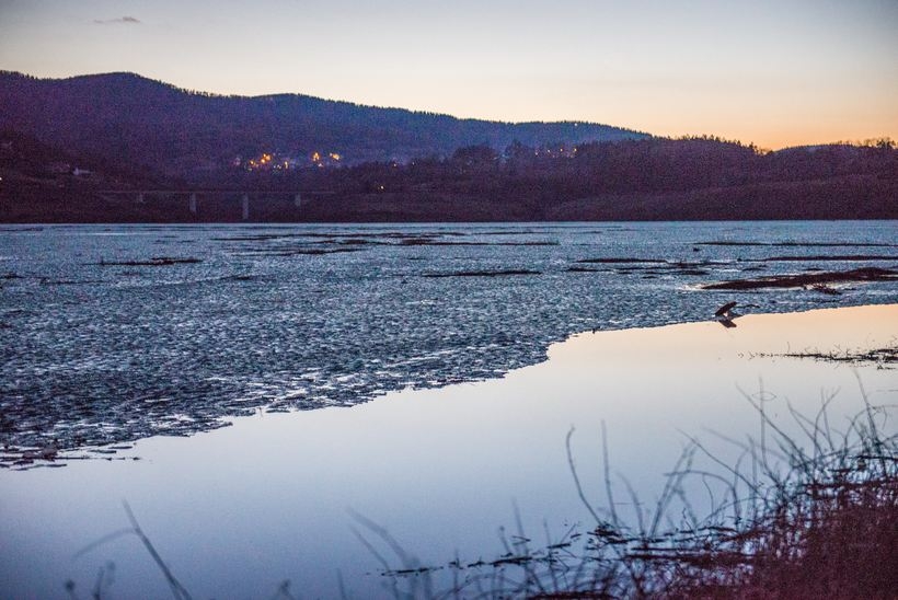 Fot. Marcin Płaszczyca