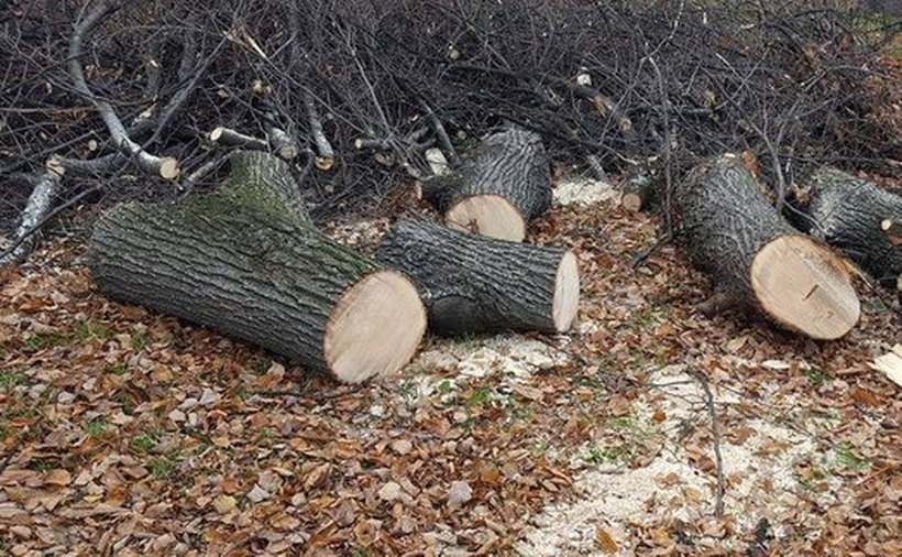 Fot. Ilustracja/Archiwum