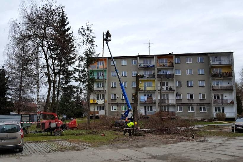 Fot. Karina Płaszczyca