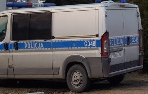 Fot. Karina Płaszczyca/Ilustracja