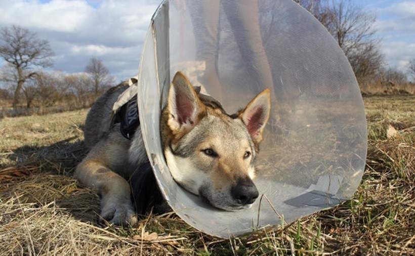 Fot. Marcin Baraniak