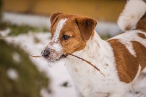 Fot. Karina Płaszczyca