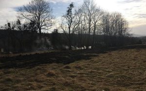 Fot. OSP Zebrzydowice