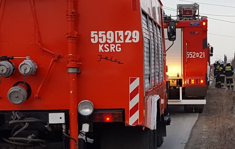 Fot. Karina Płaszczyca