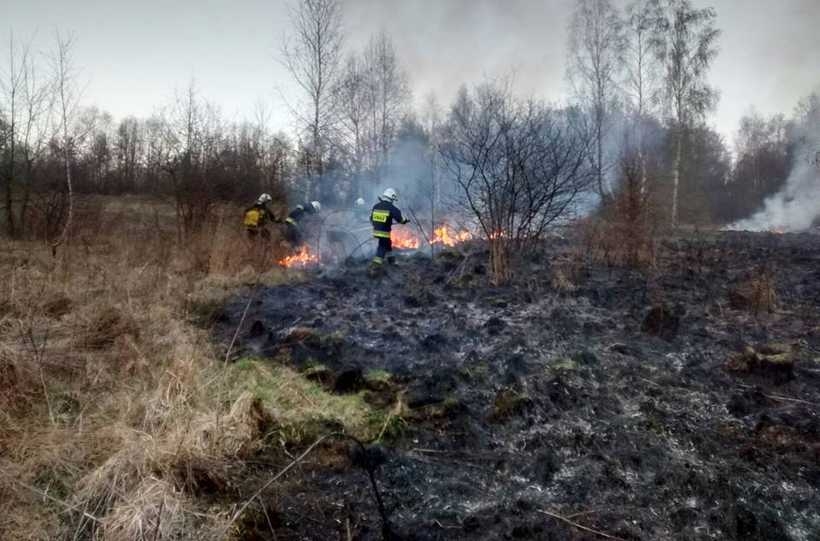 Fot. KSRG OSP Zebrzydowice