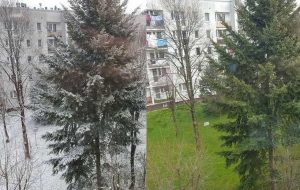 Fot. Karina Płaszczyca