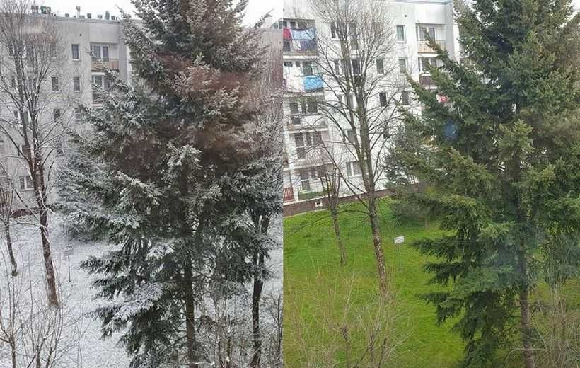 Fot. Karina Płaszczyca