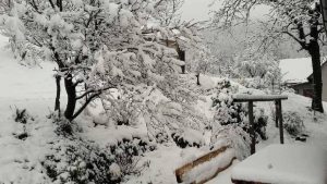 Fot. joomla.wadowice24.promo-peak.ovh