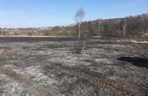 Fot. KSRG OSP Zebrzydowice