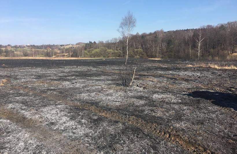 Fot. KSRG OSP Zebrzydowice