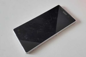 Fot. Karina Płaszczyca