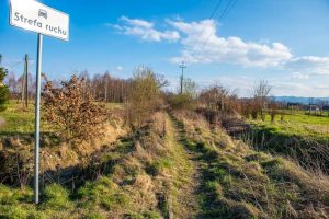 Fot. Marcin Płaszczyca