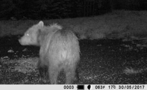 Fot. Nowiny Andrychowskie