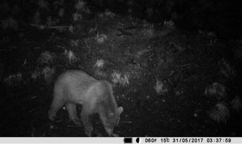 Fot. Nowiny Andrychowskie