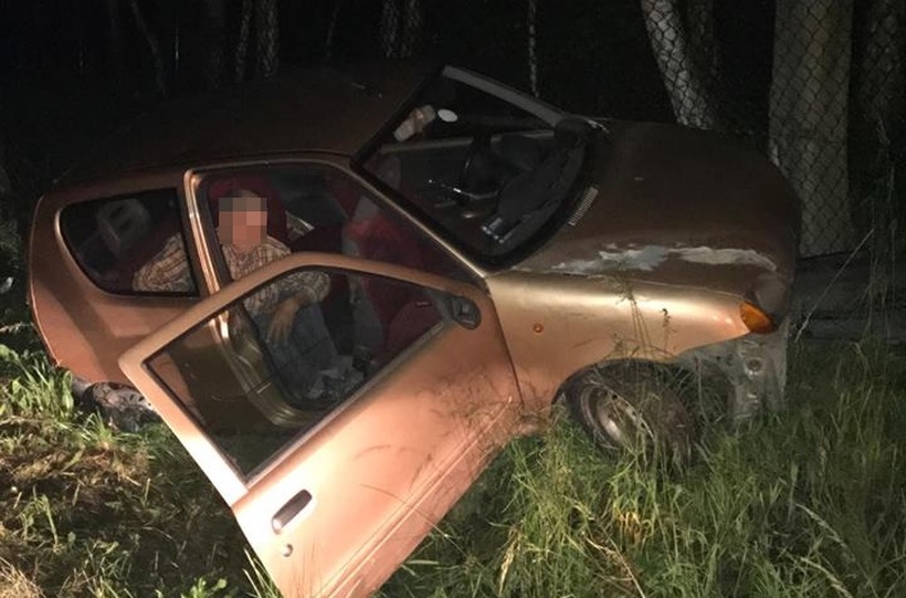 Fot. Zdjęcie nadesłane