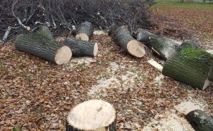 Fot. Archiwum/joomla.wadowice24.promo-peak.ovh