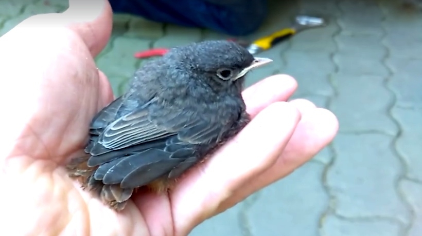 Fot. Facebook.pl/KrzysztofSarapata