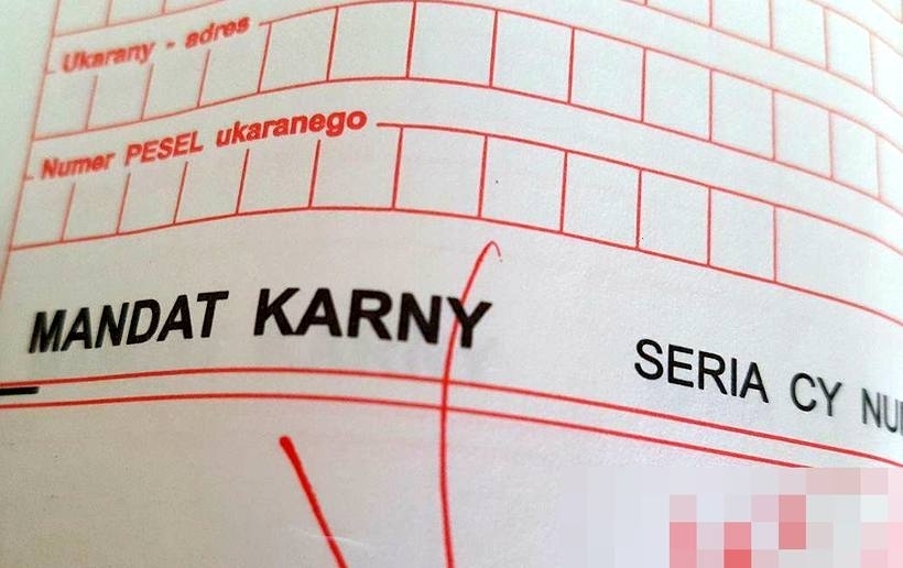 Fot. Karina Paszczyca