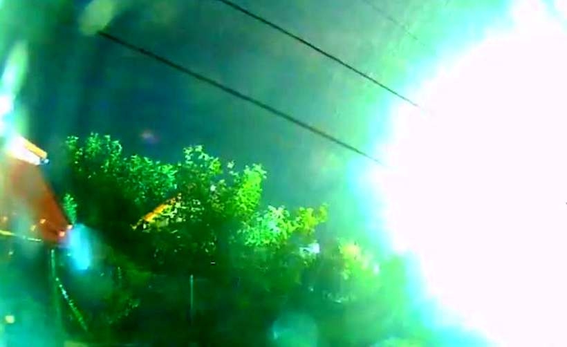 Fot. Kadr z filmu na YouTube