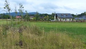 Fot. Materiały Prasowe