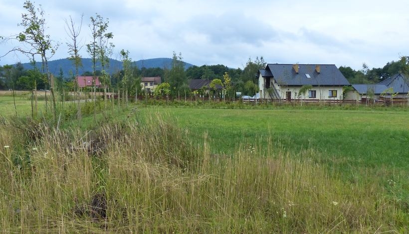 Fot. Materiały Prasowe