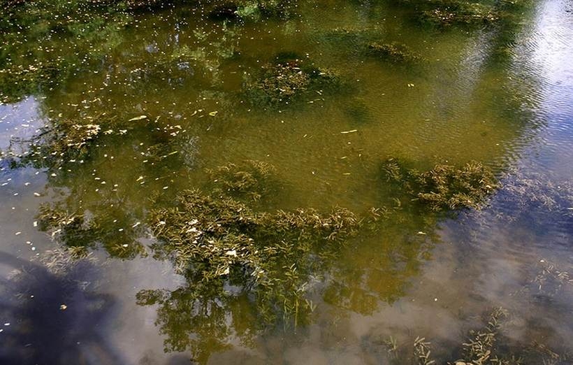 Fot. Nowiny Andrychowskie