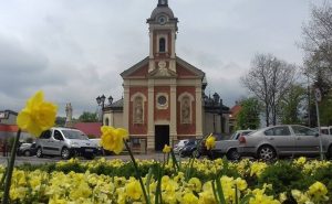 Fot. Materiały Prasowe