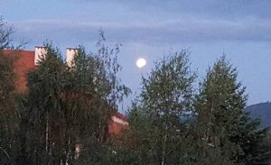 Fot. Karina Płaszczyca