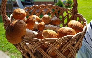 Fot. Karina Płaszczyca