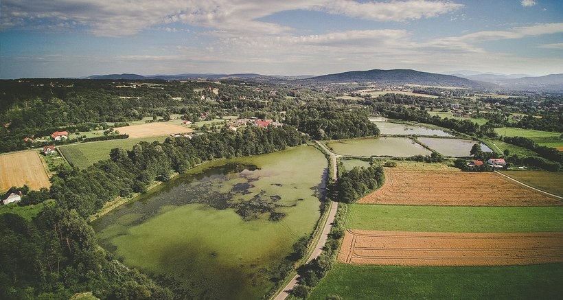 Fot. Marcin Płaszczyca