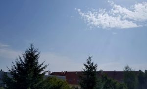 Fot. Karina Płaszczyca